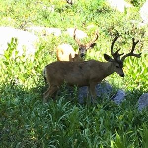 Meet your Posher, Nina